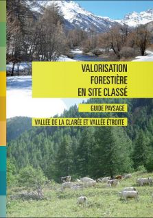 guide_paysage_valorisation_forestiere_site_classe.jpg