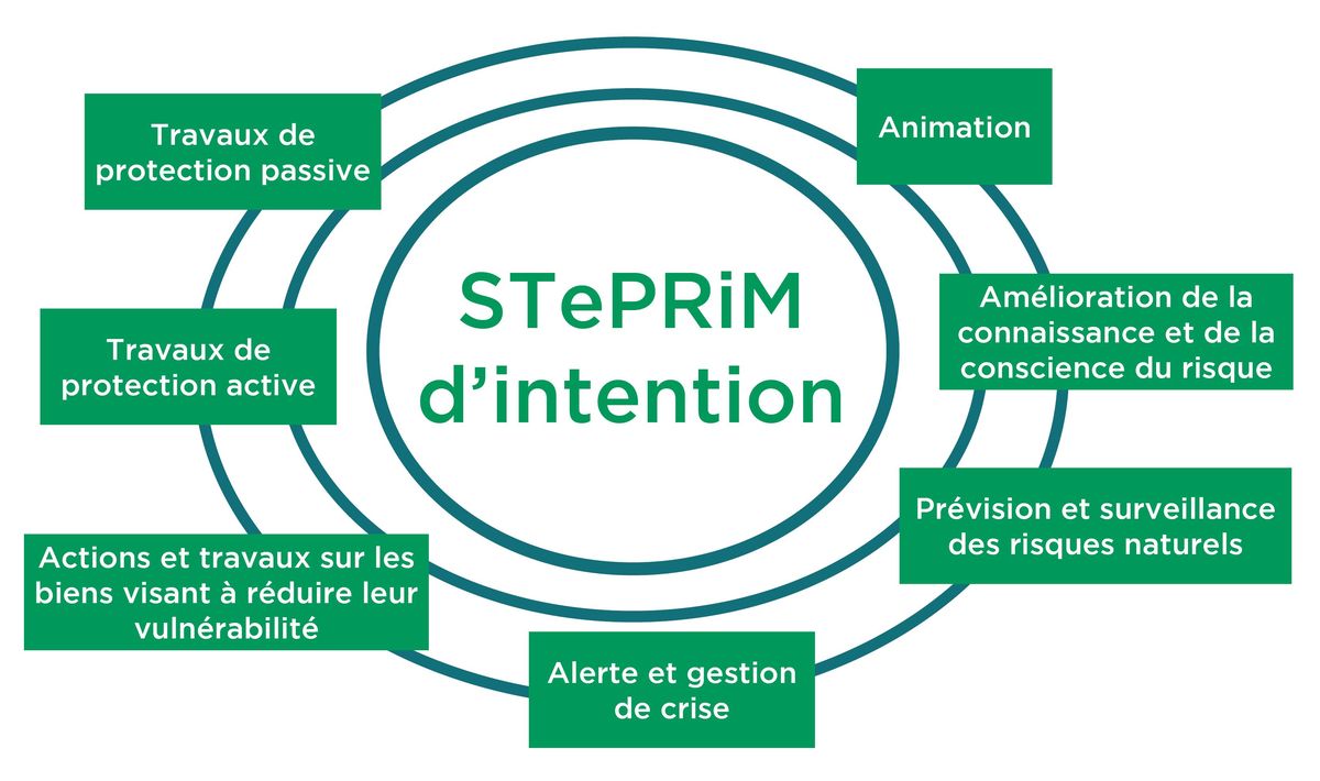 steprim_intention_web.jpg